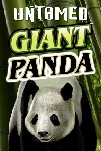 Untamed - Giant Panda бесплатная онлайн игра | Фламинго Казино без регистрации